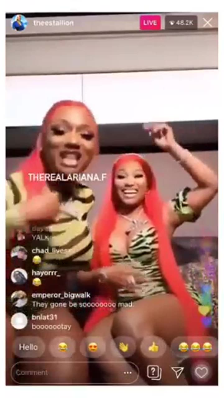 Megan thee Stallion