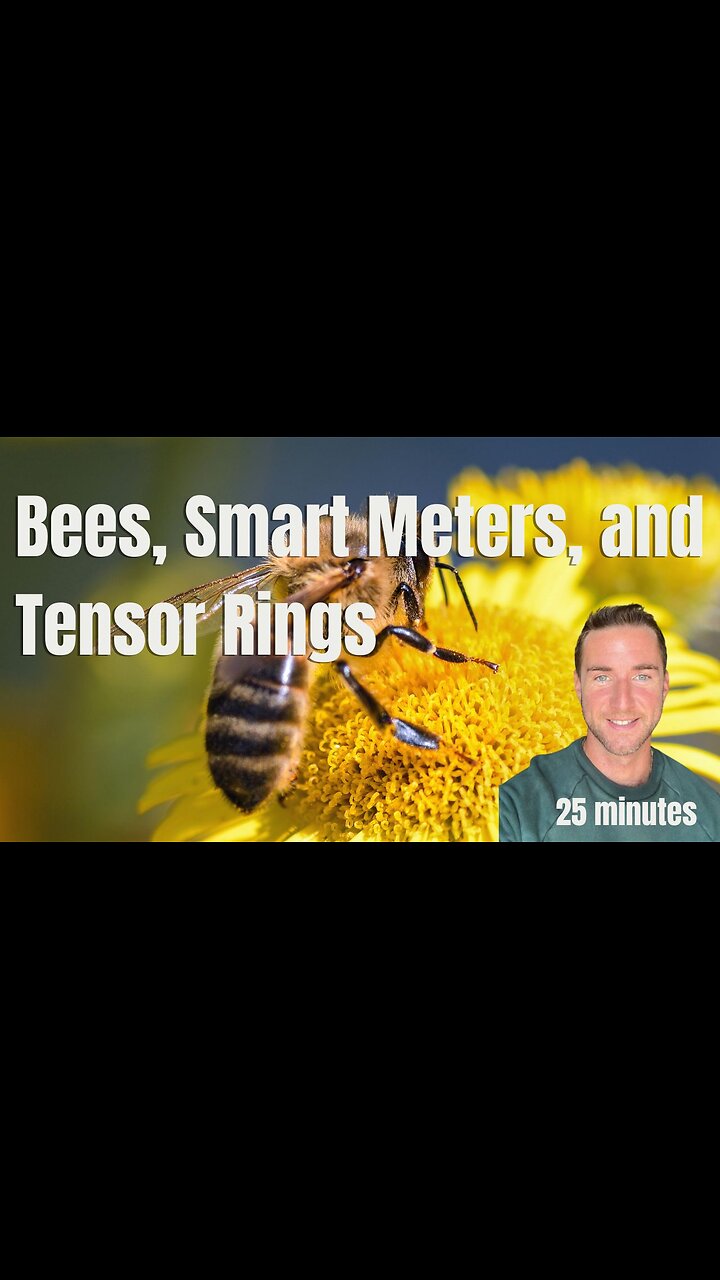 Bees, Smart meters, Dragons blood, and Tensor Rings