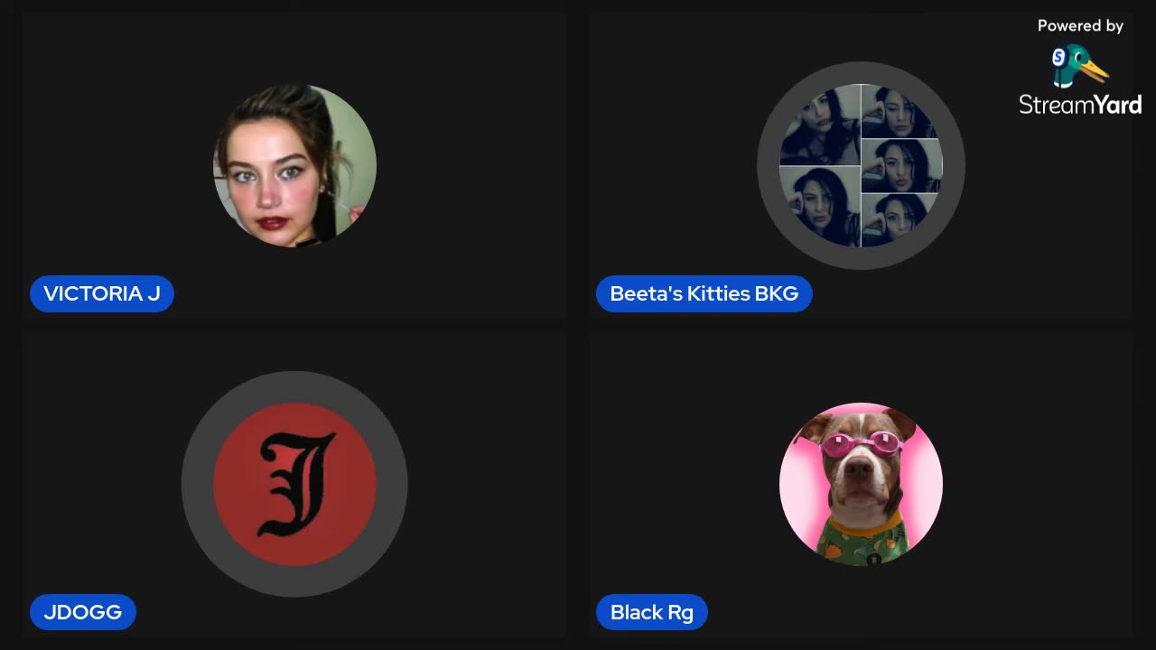 11/26/25 Beetas Kitties VOD: Back for another one