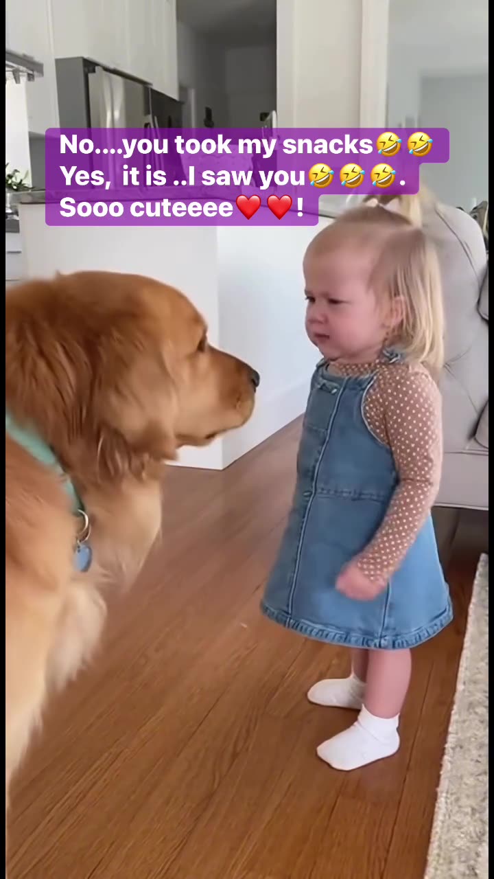 This moment captures a seemingly serious conversation shared by the dog and the little girl.