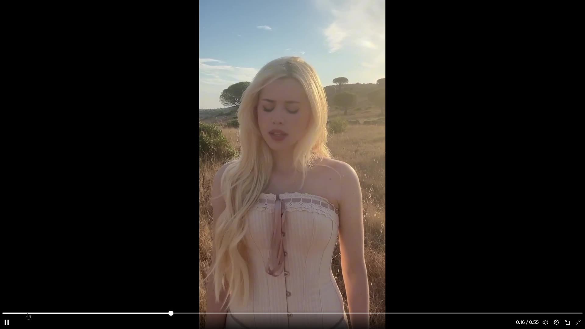 This song had me in tears from Gladiator. Didnt know the name, its below clip