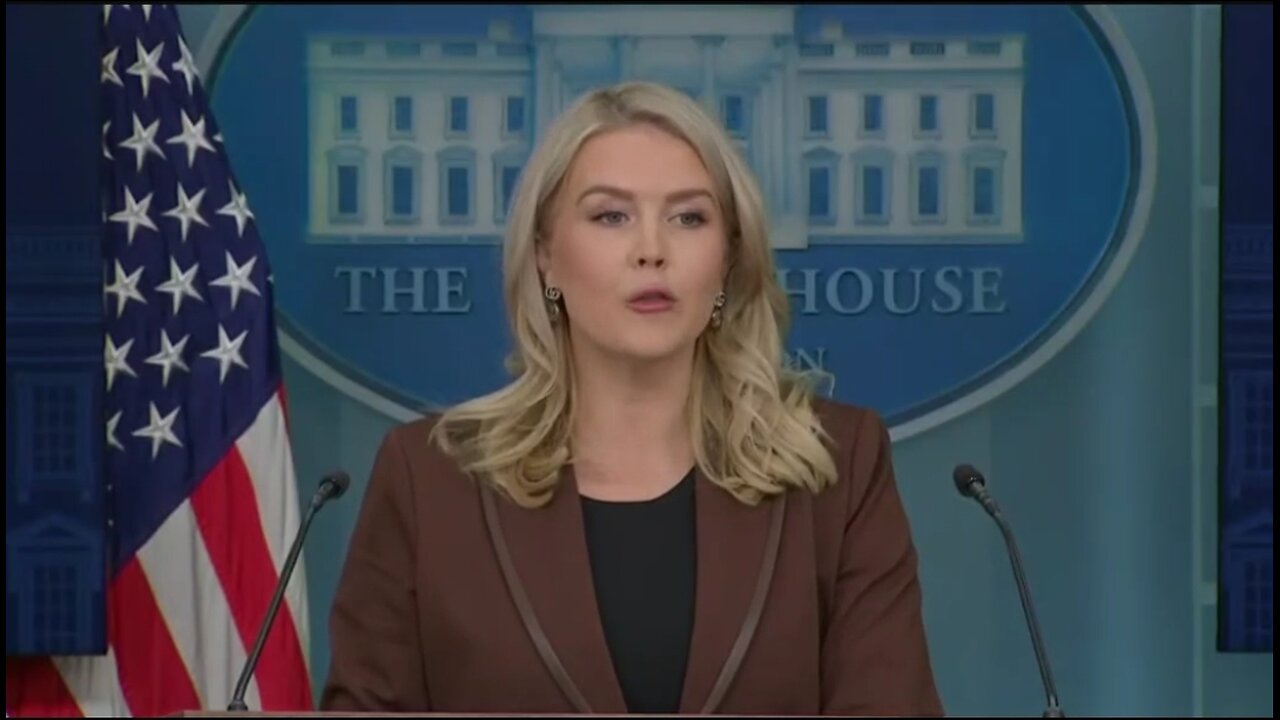 Karoline Leavitt: Epstein Emails PROVE Trump Did Nothing Wrong
