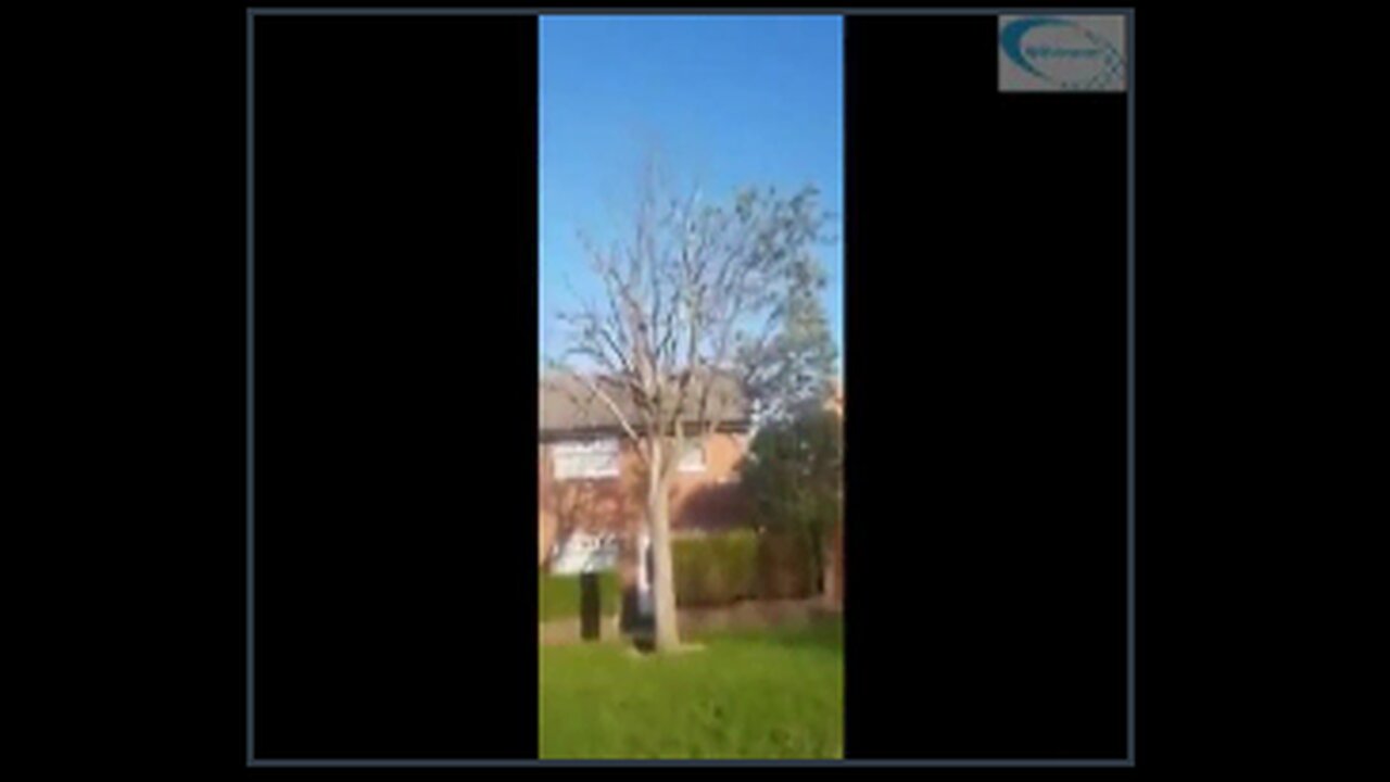 An example of a 5G slow kill. It kills plants and animals. It will kill us also if we dont stop it