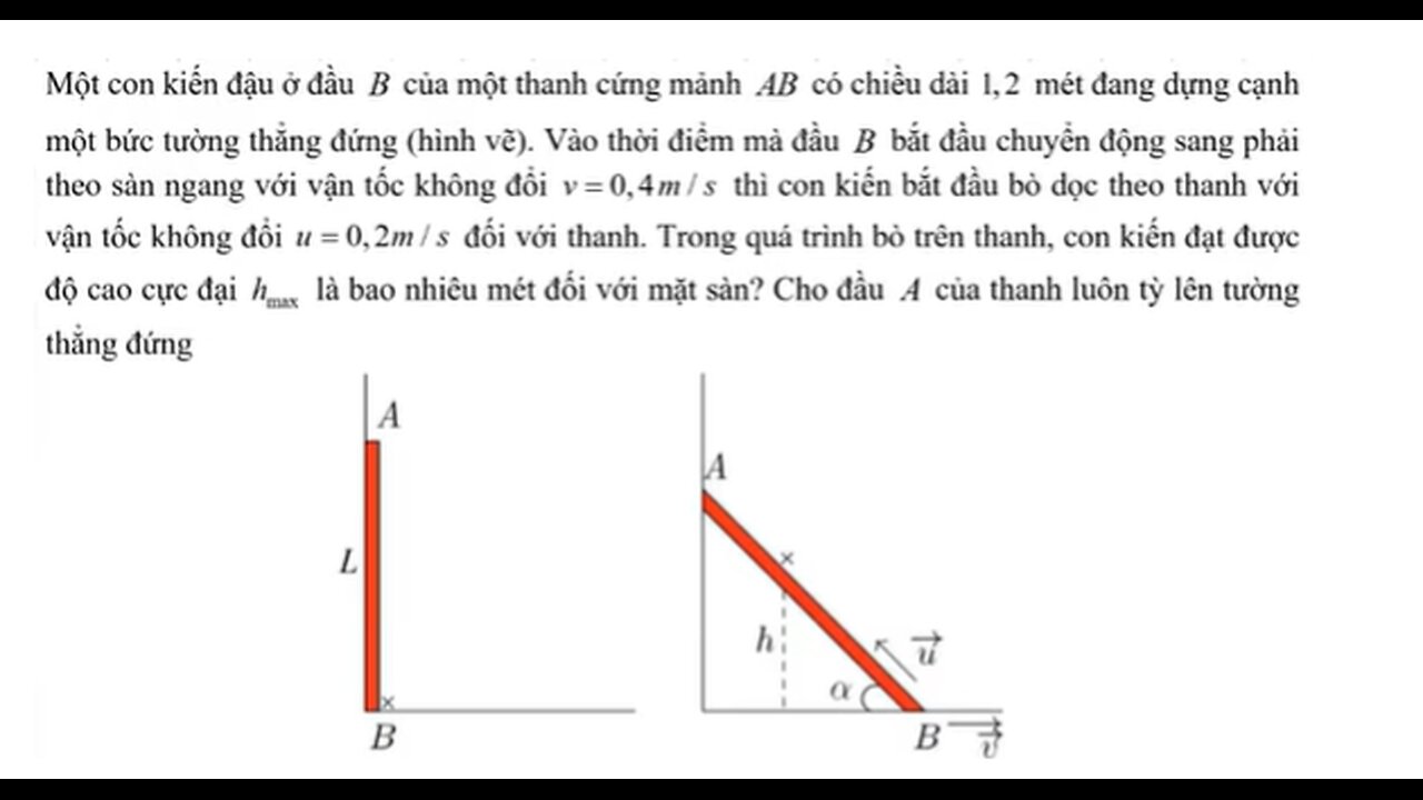 Toán 11: Đạo hàm: Một con kiến đậu ở đầu (B) của một thanh cứng mảnh AB có chiều dài 1,2 mét