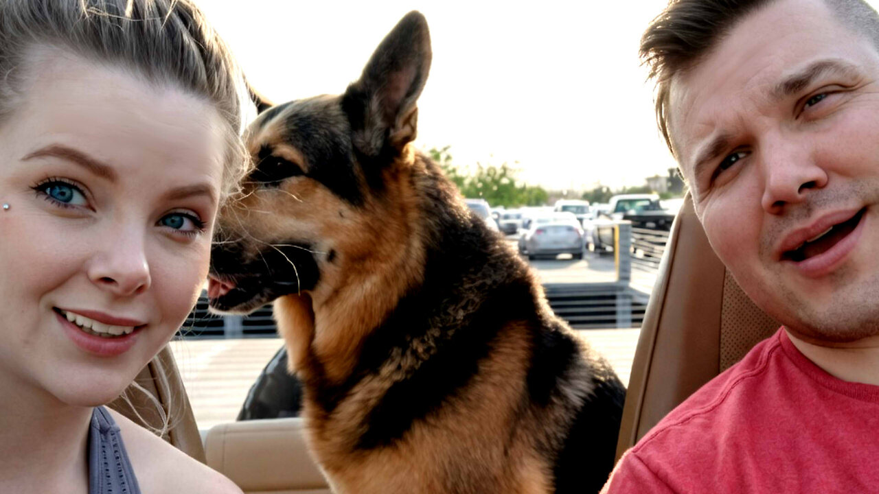 The Loki Memorial Show | Come Join & Give My Old Dog Love