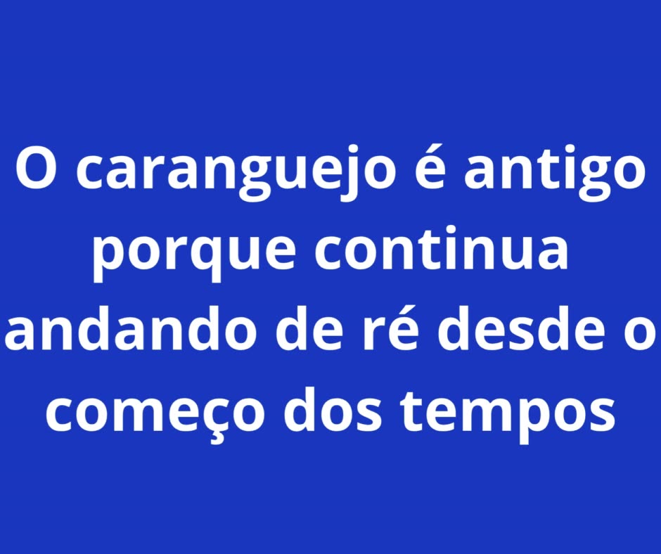 piadinhas (1).mp4