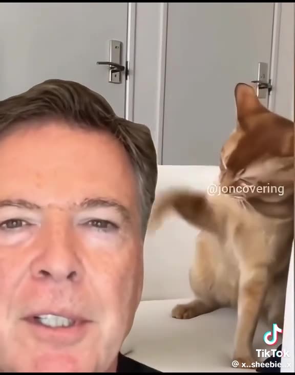 COMEY BIT*H SLAPPED LOL 😝