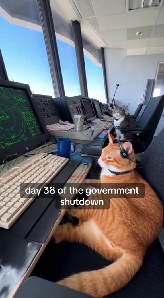 News Break