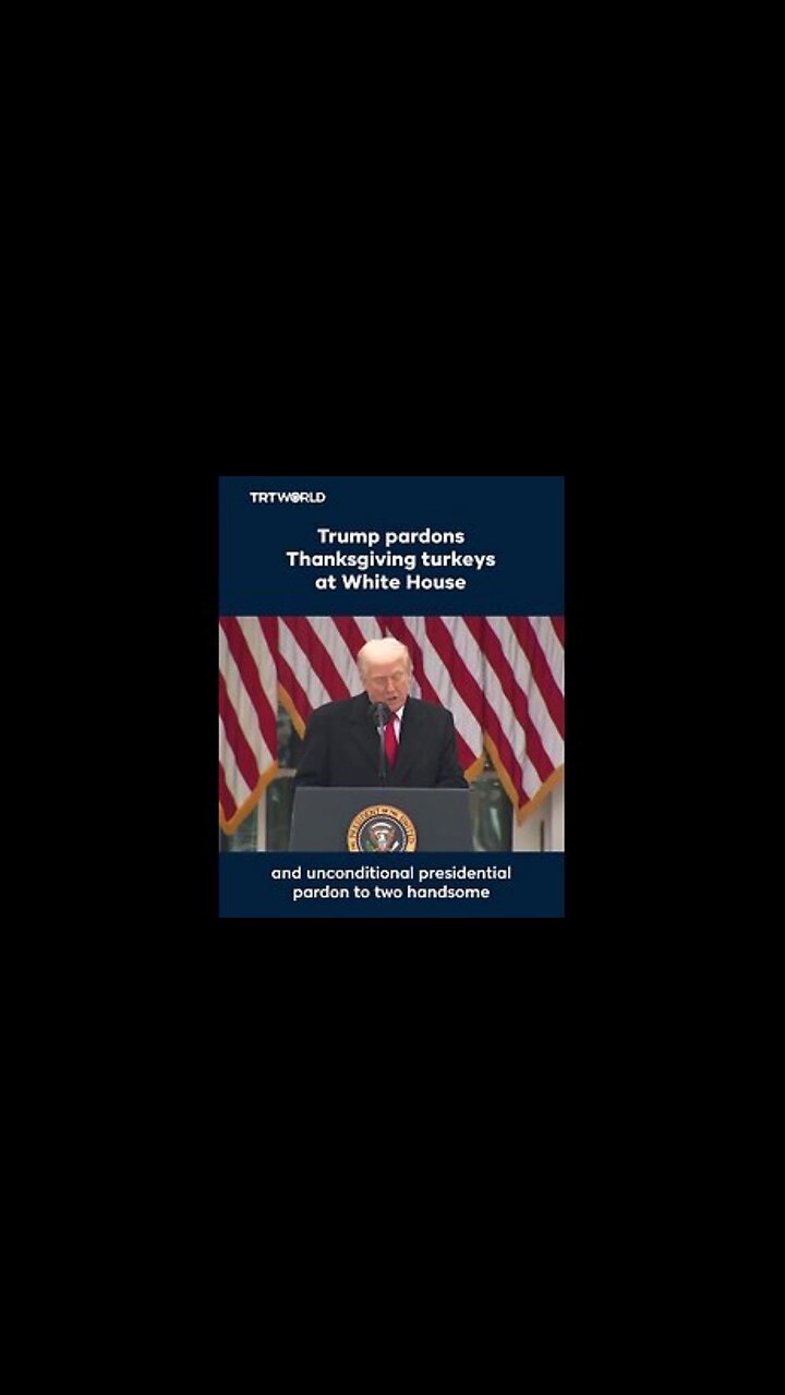 Turkeys Gobble & Waddle - I was going to call them Chuck (Schumer) & Nancy (Pelosi) - President Trump