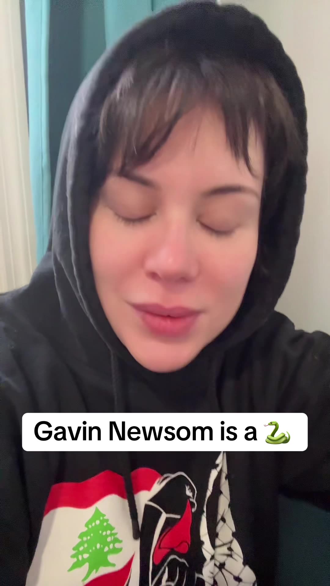 Gavin Newsom is a 🐍