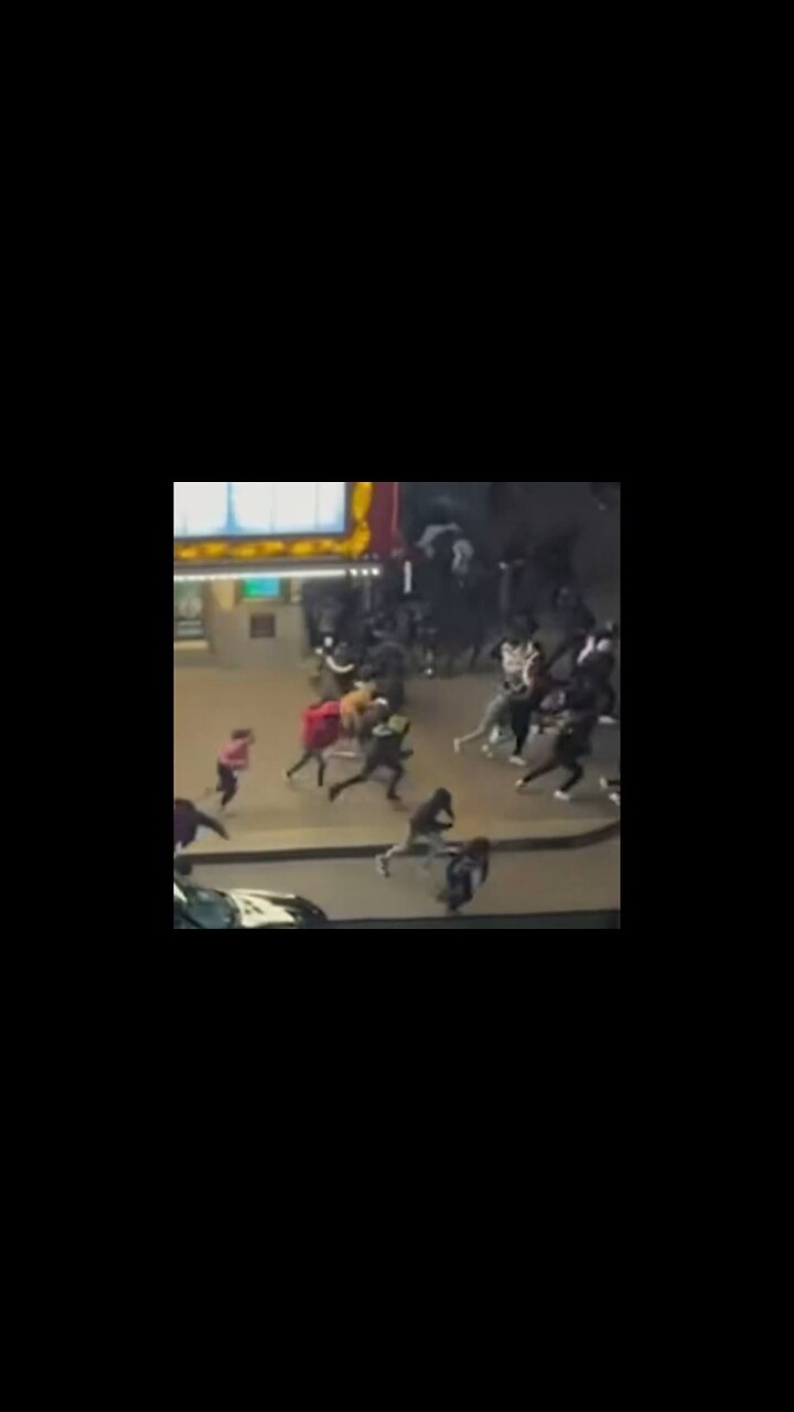 Raw Video: 300 Teens Started Rioting Following Chicagos Christmas Tree Lighting Ceremony