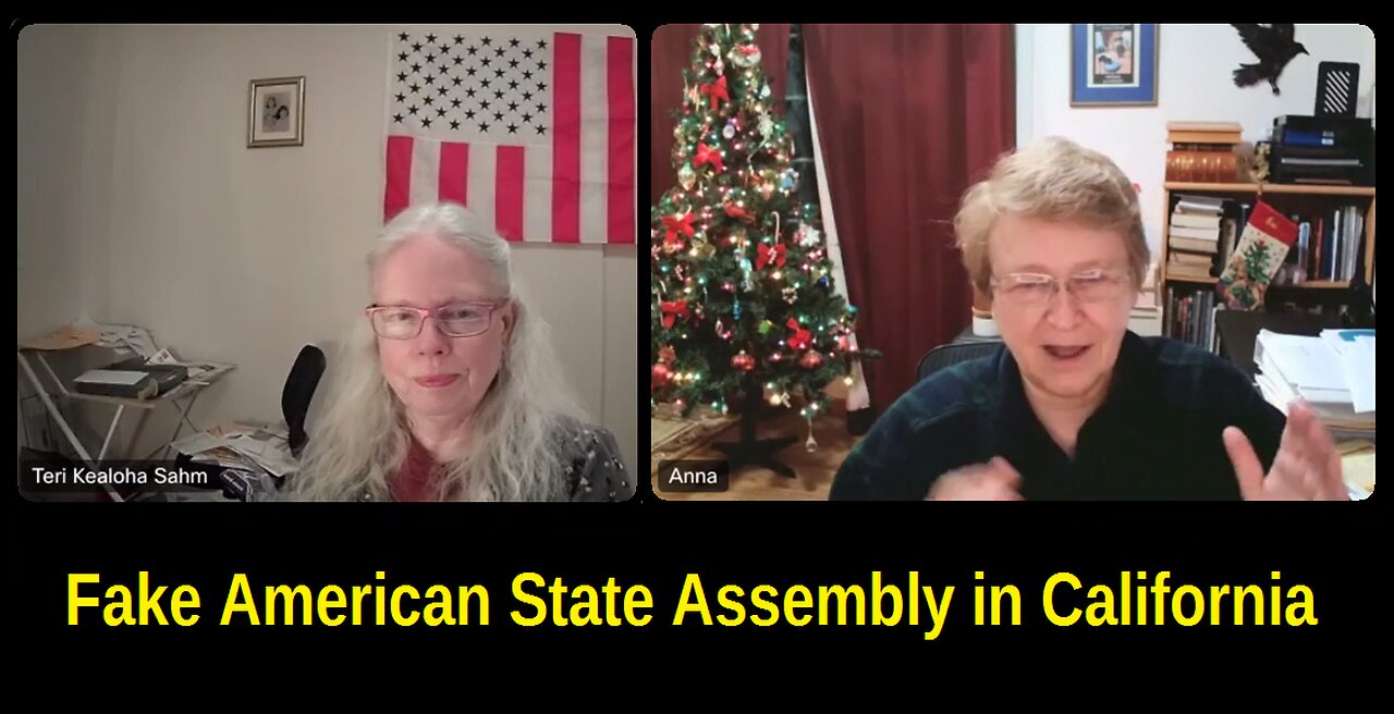 Fake American State Assembly in California