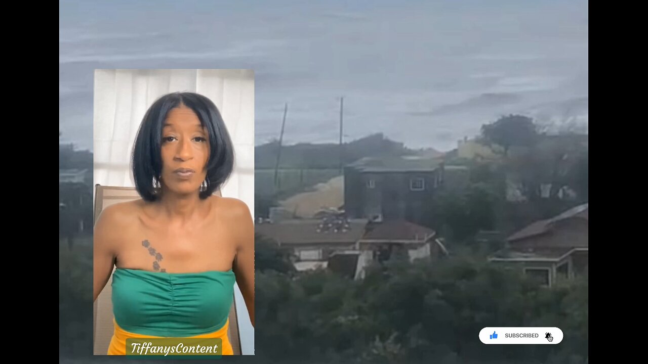 JAMAICA 185MPH 🙏🏽DIRECT HIT LANDFALL POWERFUL HURRICANE MELISSA 🙏🏽 ANIMALS SEARCH FOR SHELTER!