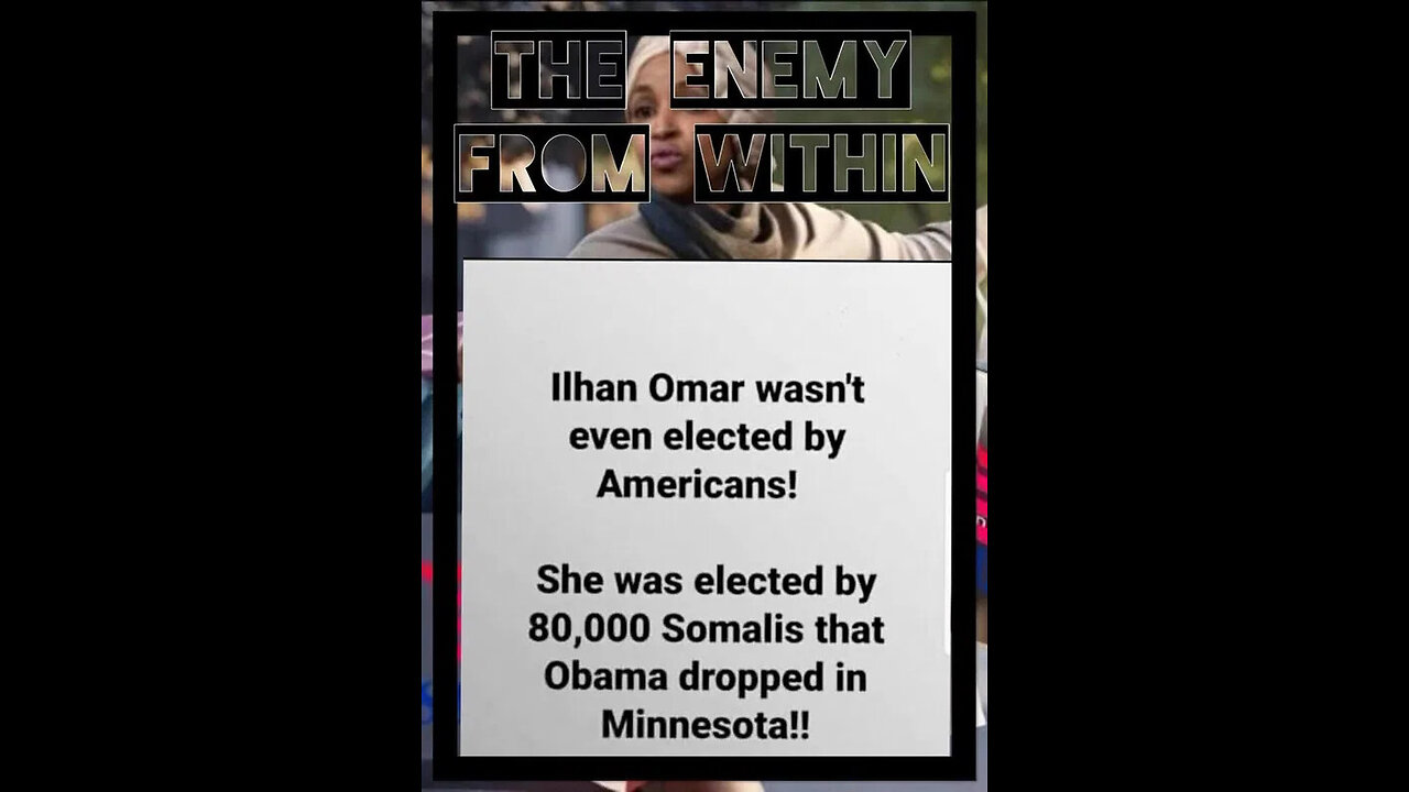 minnesotas democrat somali community funnel medicaid taxpayers money to terrorist group al shabaab