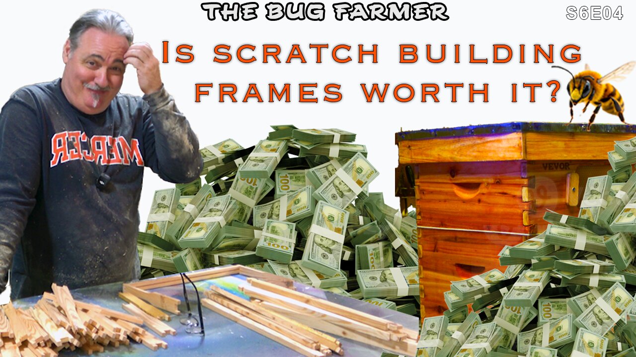 Scratch building frames worth it? | Saving money?