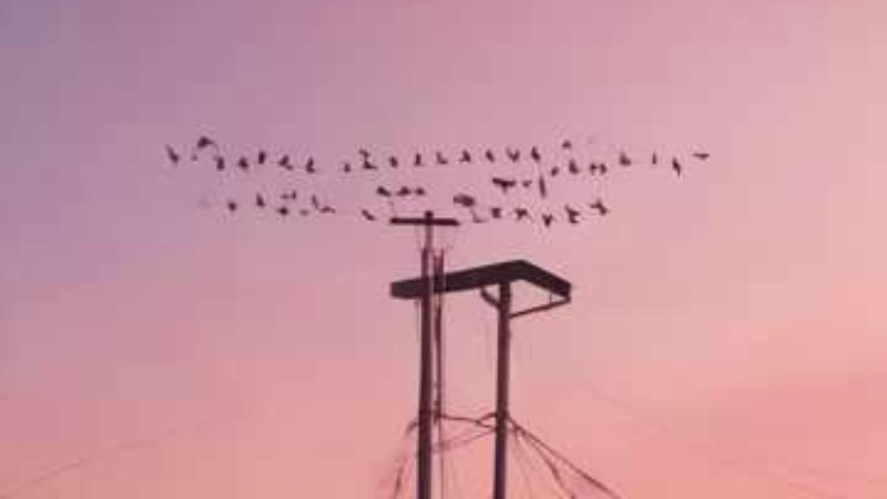 Unchained Sky