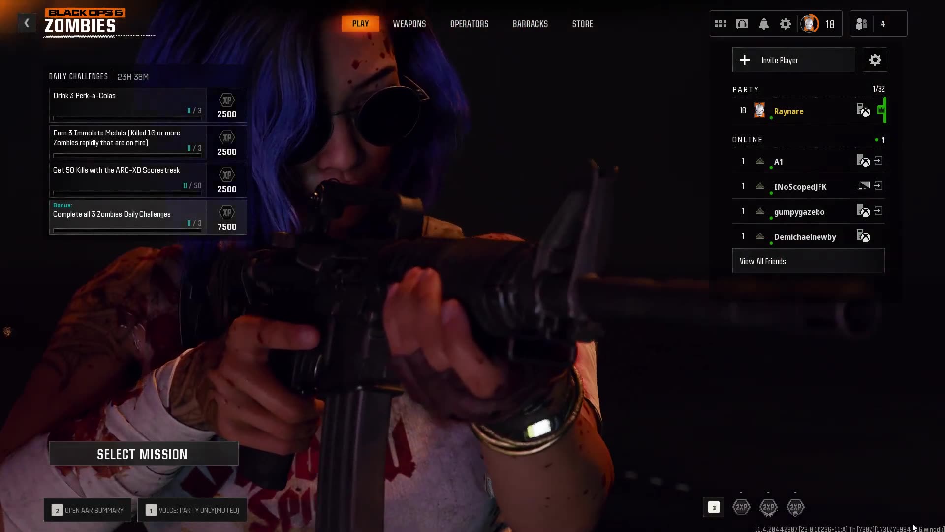 MYSTERY VIDEO