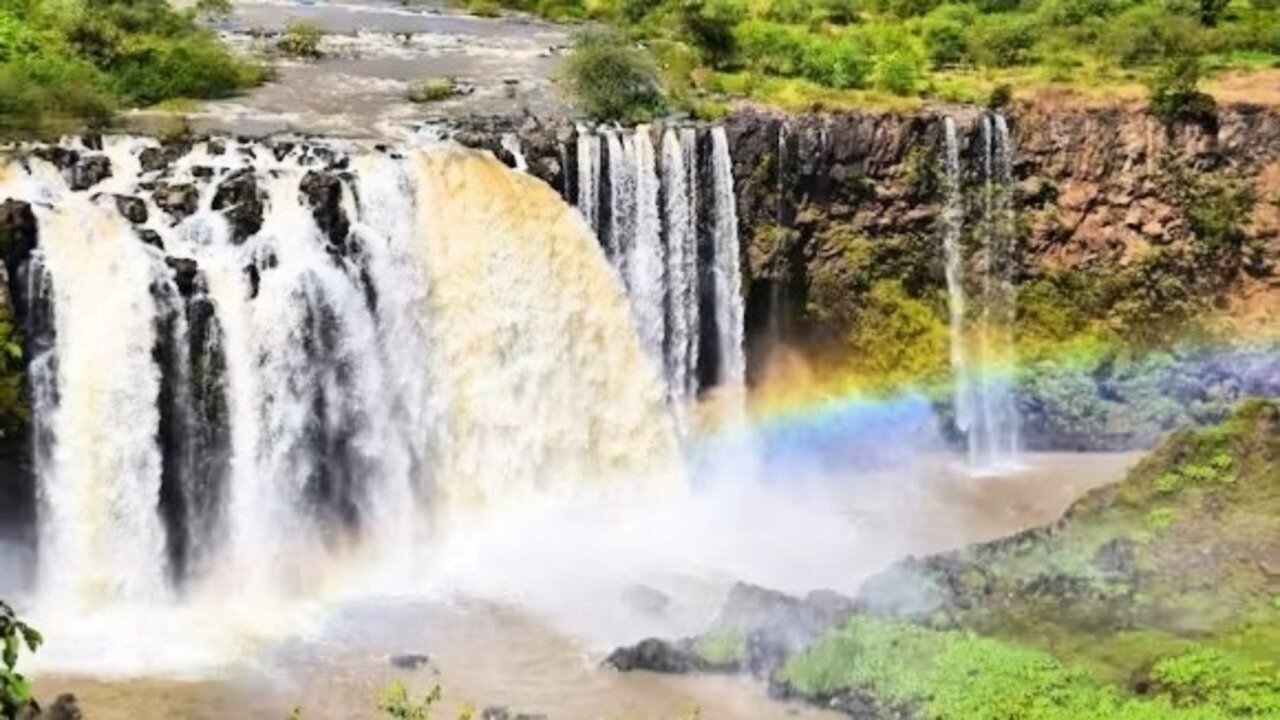 ነጭ ነጯን ከዘመዴ ጋር - ቀጥታ ስርጭት | Zemede October 26, 2025