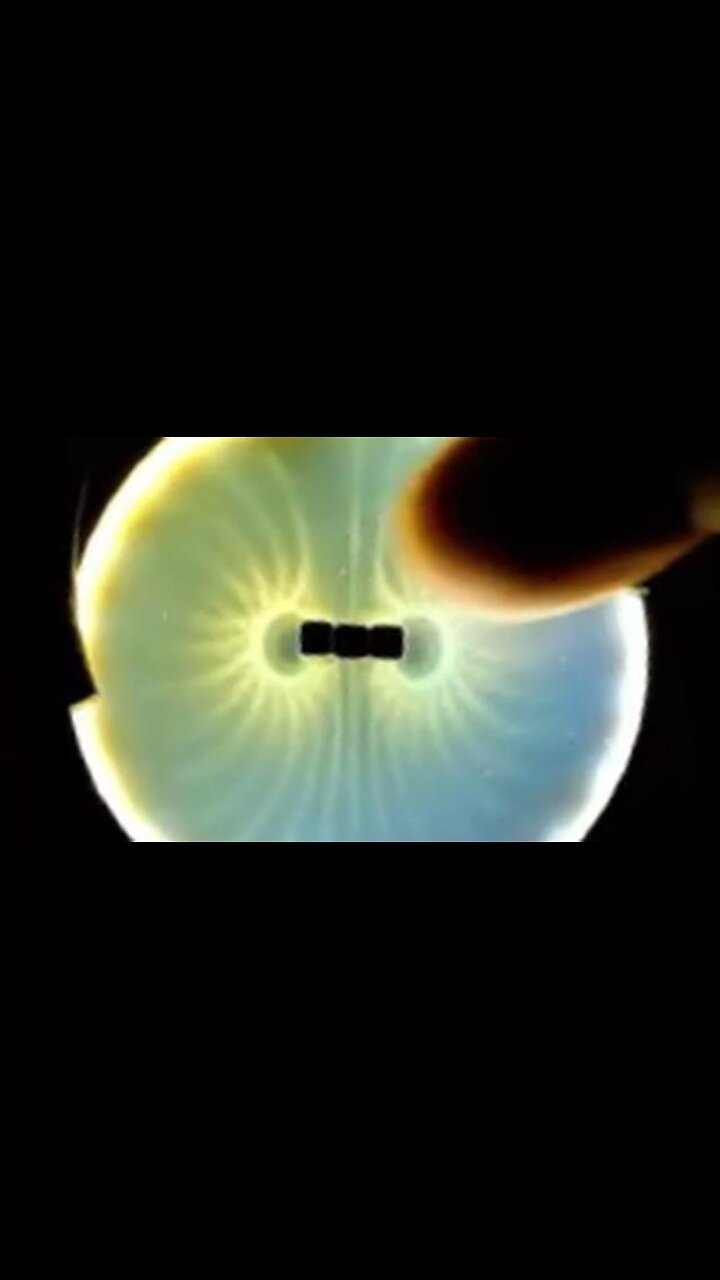 MAGNETIC Fields visible to the eye