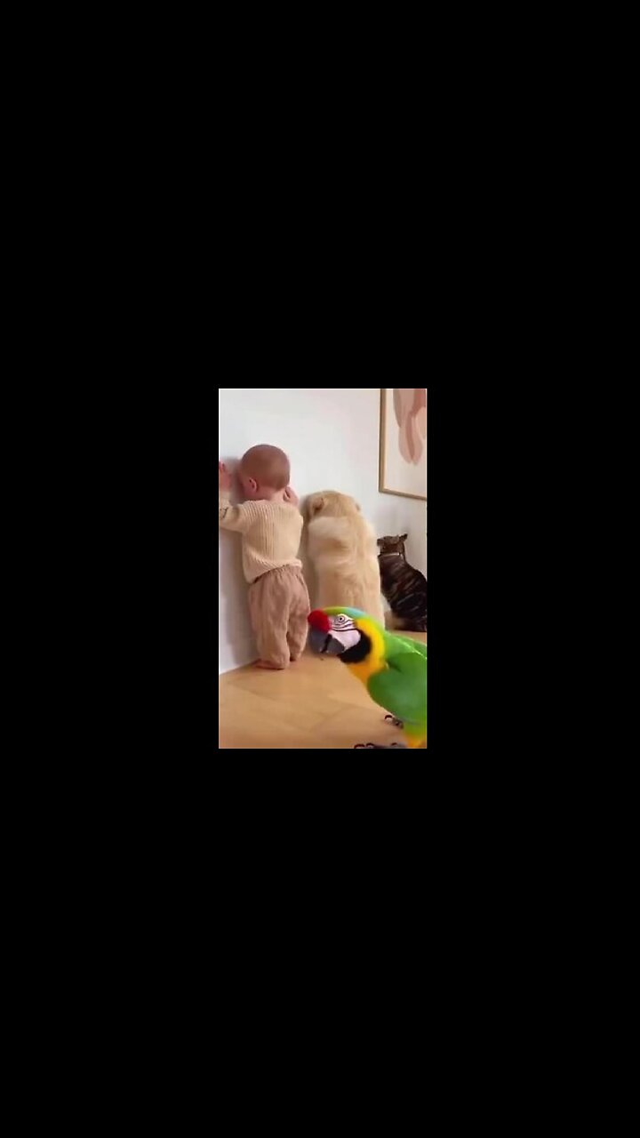 ❤️ Children & Pets are Amazing!