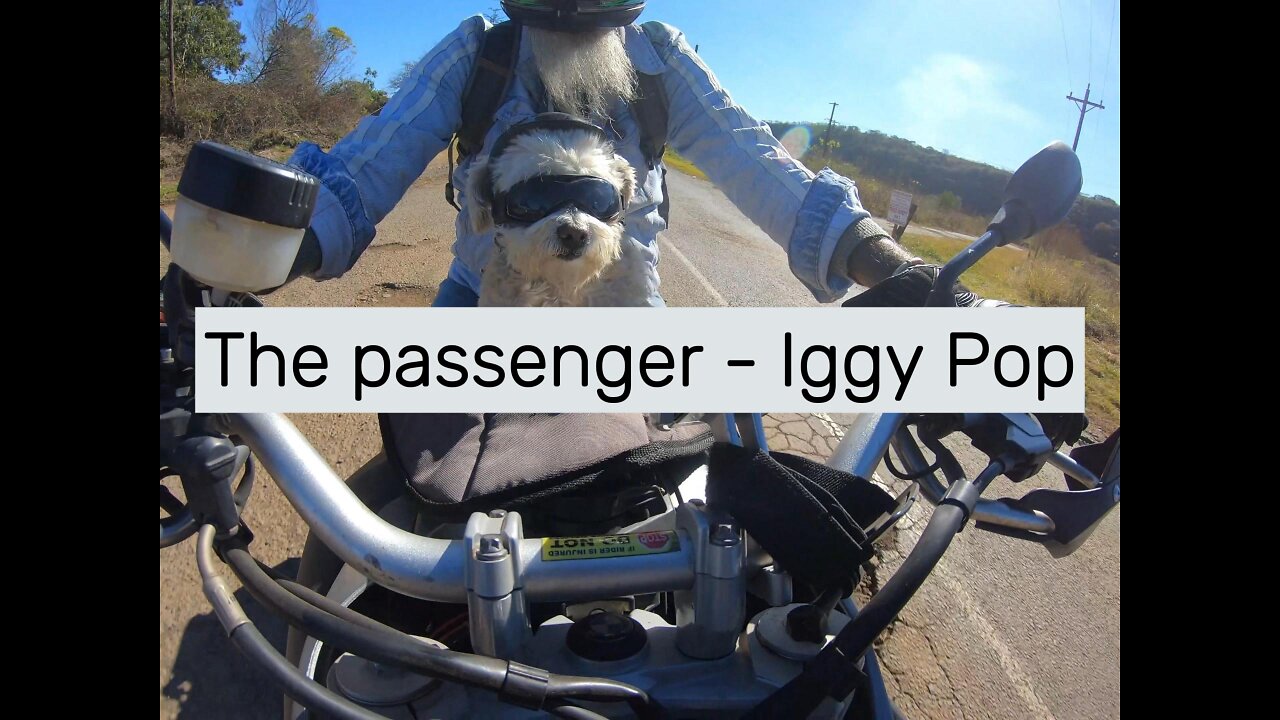 The passenger - Iggy Pop