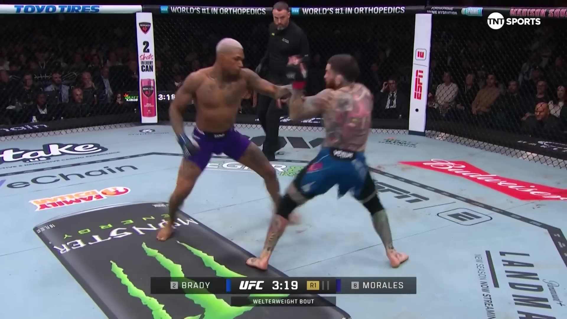Sean Brady vs. Michael Morales | #UFC322 Fight Highlights