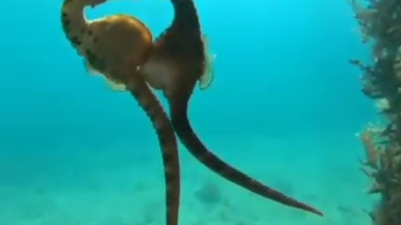 Wow..