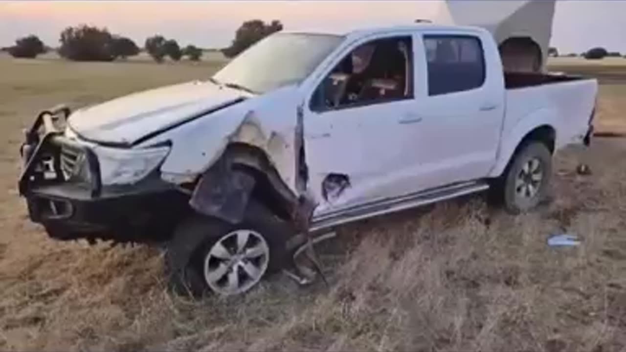 Rhino Relocation Gone Wrong