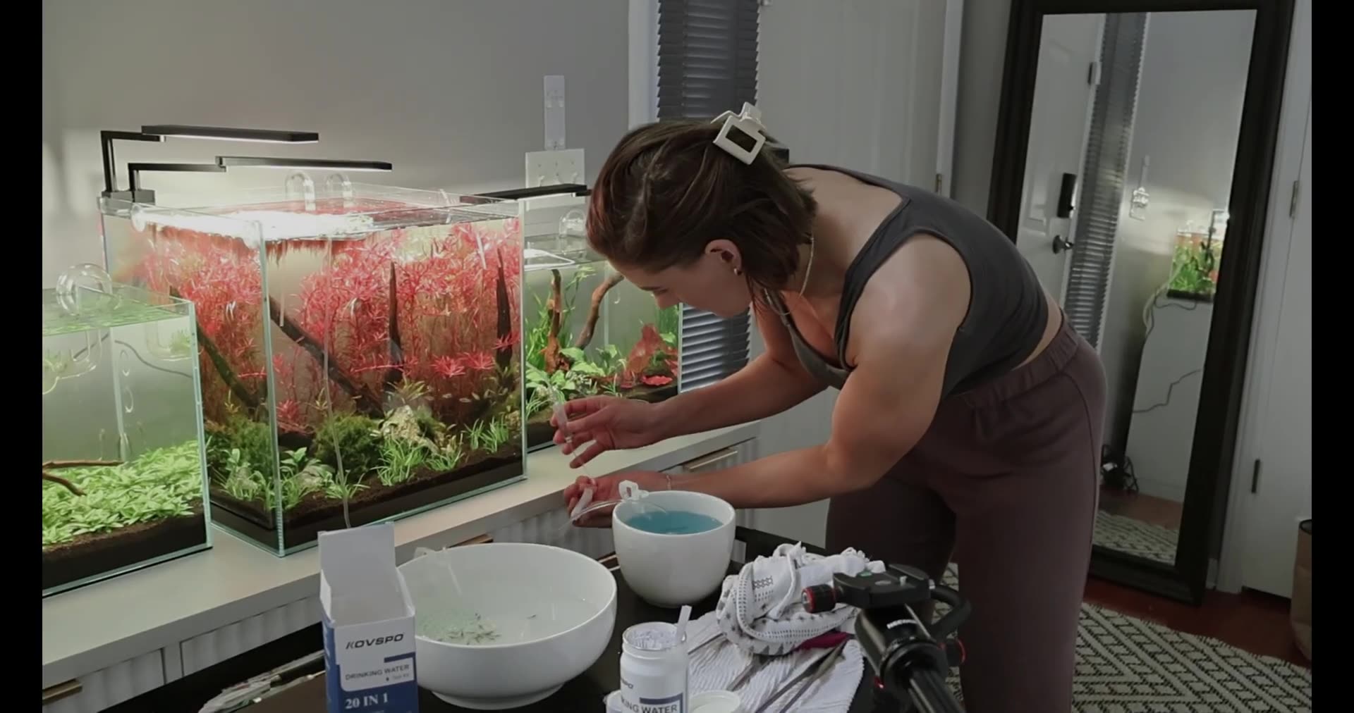 Adding-a-Pink-Halfmoon-Betta-to-