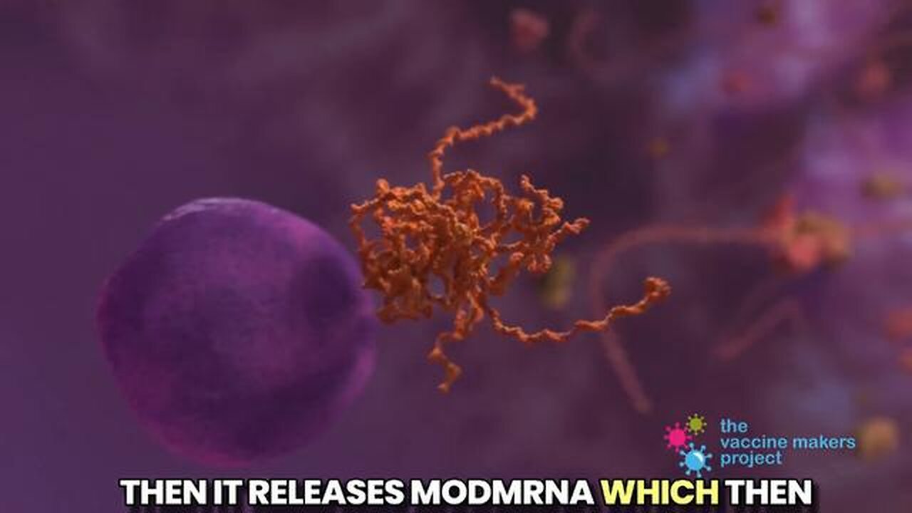 Nicolas Hulscher, MPH - COVID-19 mRNA vaccines , Aug 24, 2025