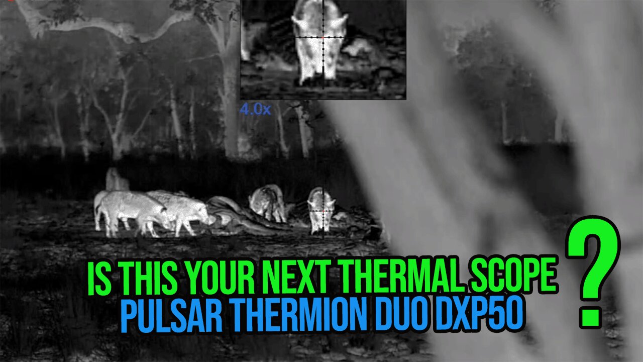 WHAT ARE OUR THOUGHTS? Thermion Duo DXP50 and something you didnt know about PULSARS NETD