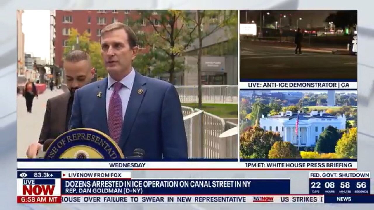 Rep. Dan Goldman Accused ICE, Who Are Enforcing The Law, Of Lawless Terror