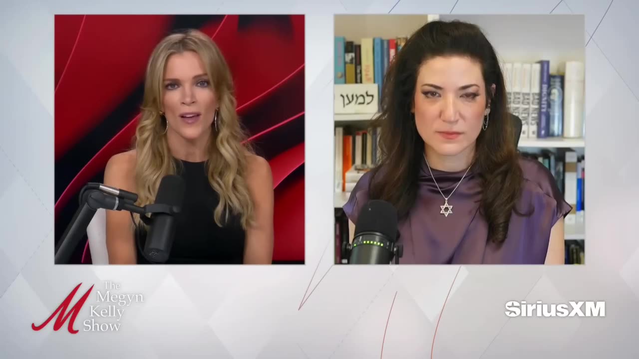 Megyn Kelly suggests Epstein wasnt an actual pedophile if victims went through puberty
