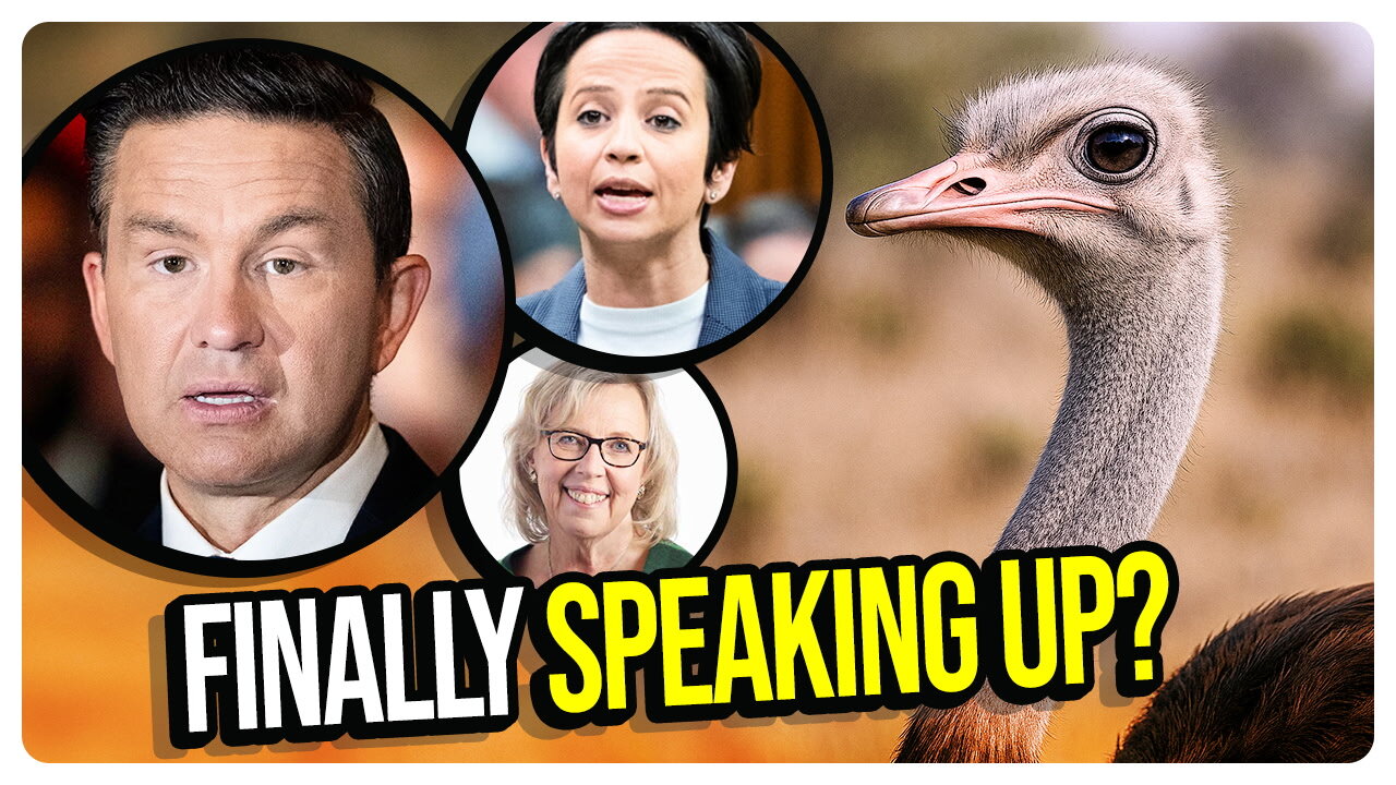 Canadian Politicians FINALLY Speak Up About the Ostrich Crisis in Canada? Poilievre is a CHICKEN!