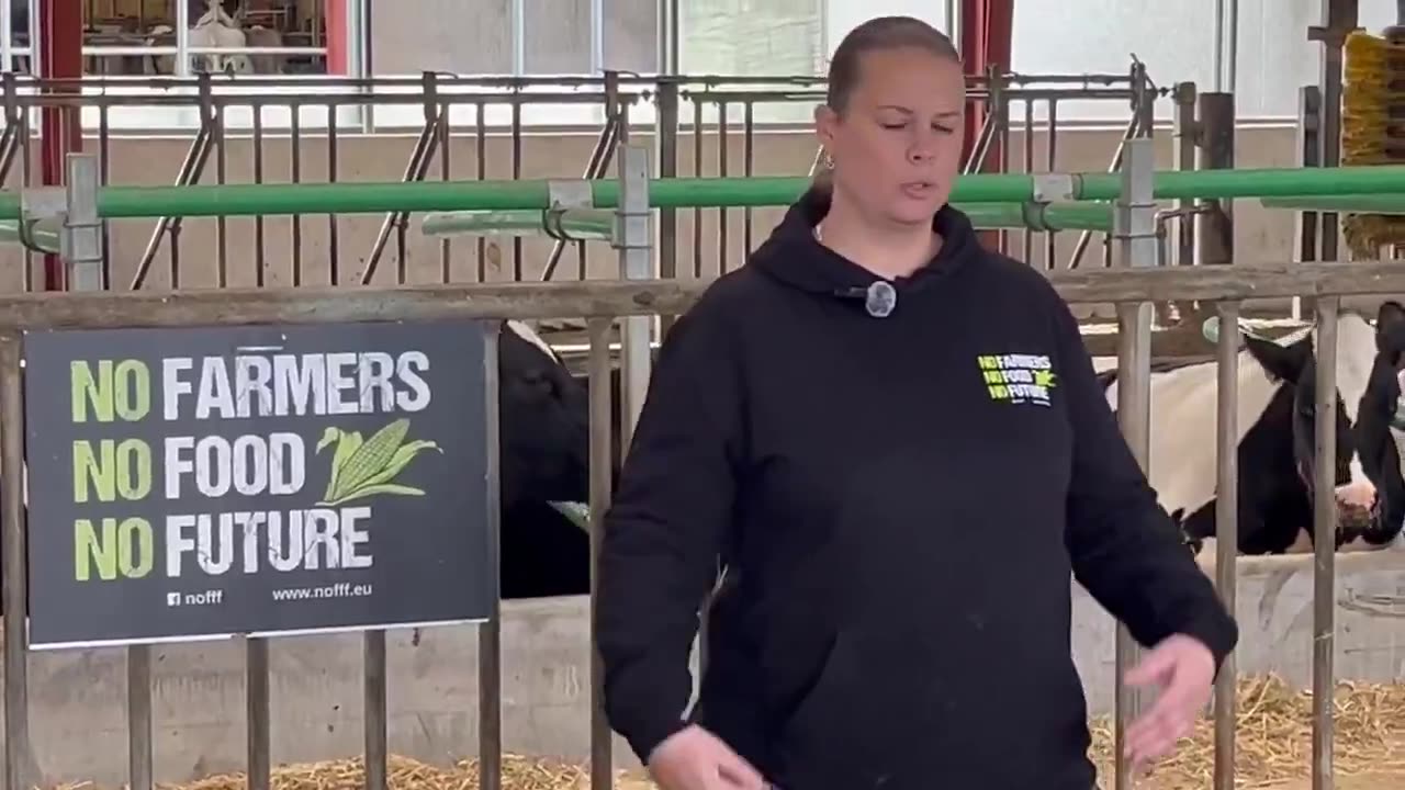 COWS ARE DYING IN DEMARK: Farmers required to feed Bill Gates BOVAER