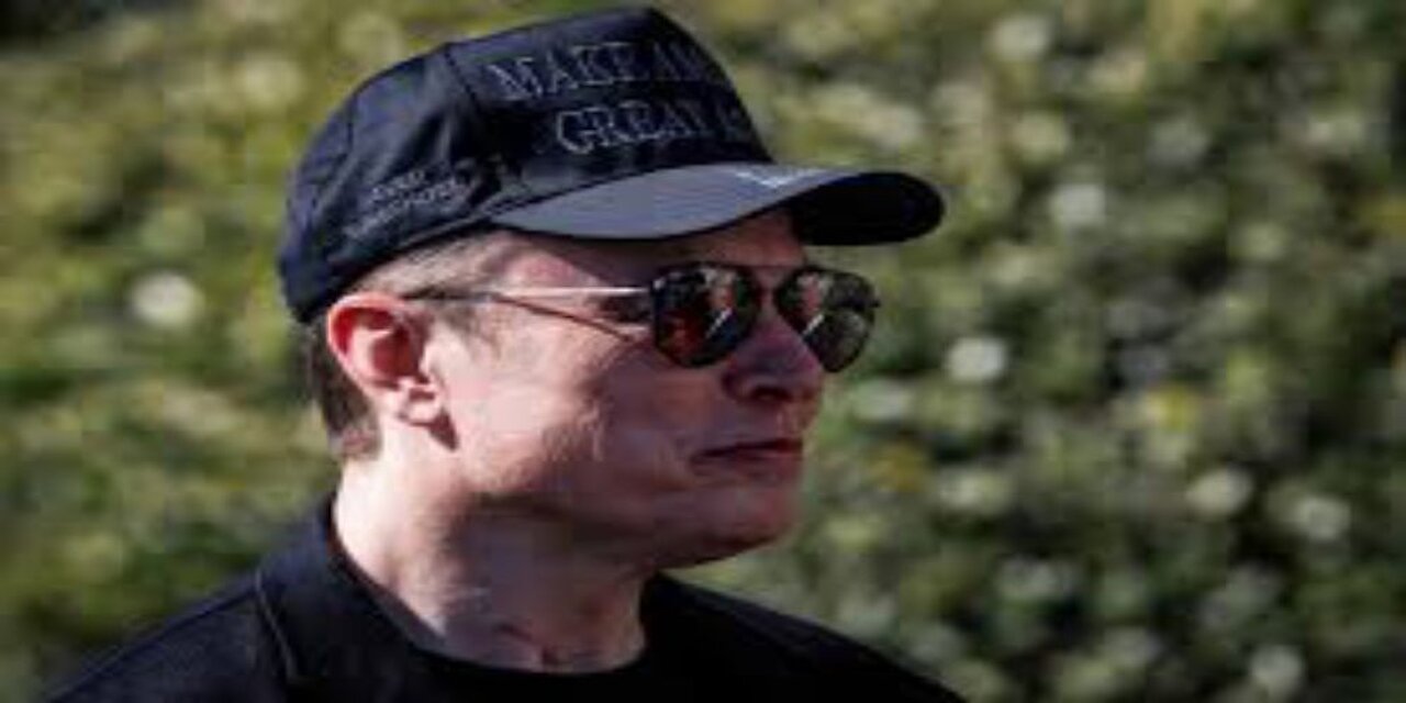Elon Musk Claims Blue States Using Medicaid to Import Voters