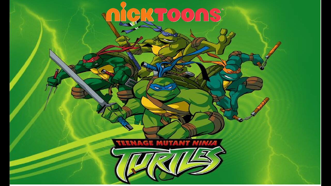 Teenage Mutaunt Ninja Turtles (2003)
