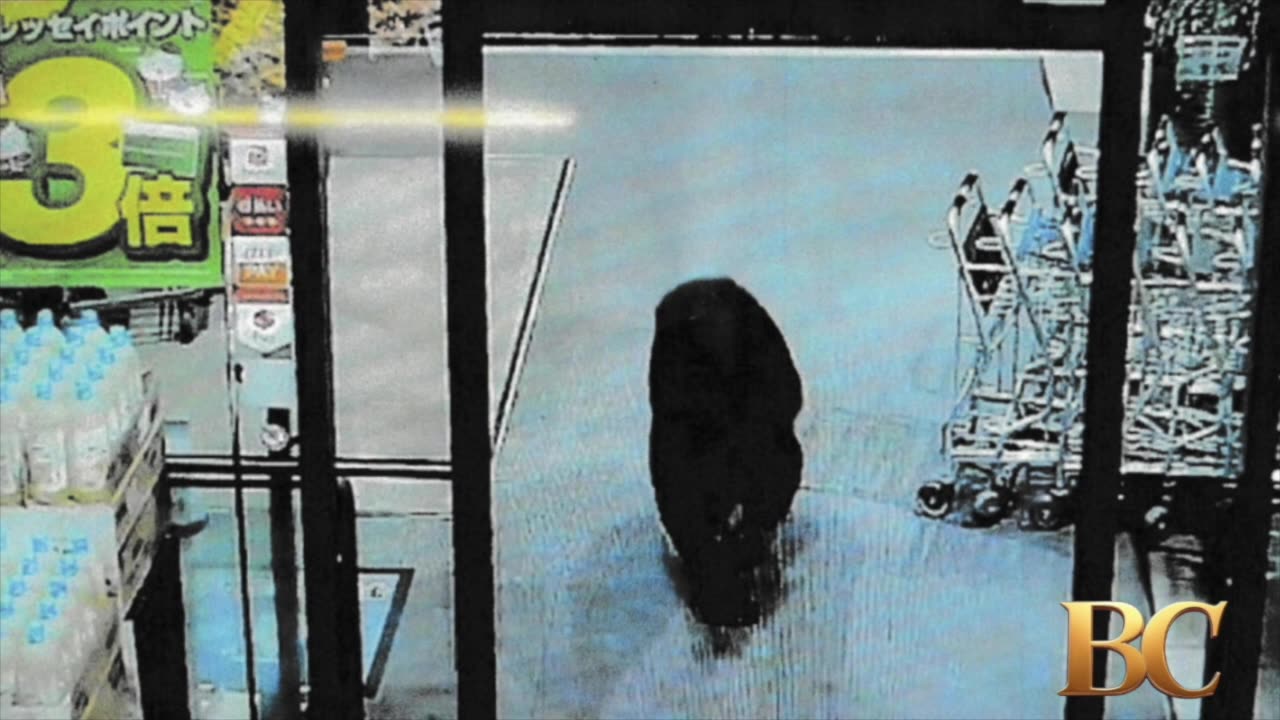 Bear injures 2 people in Japan grocery store as man killed in separate suspected attack