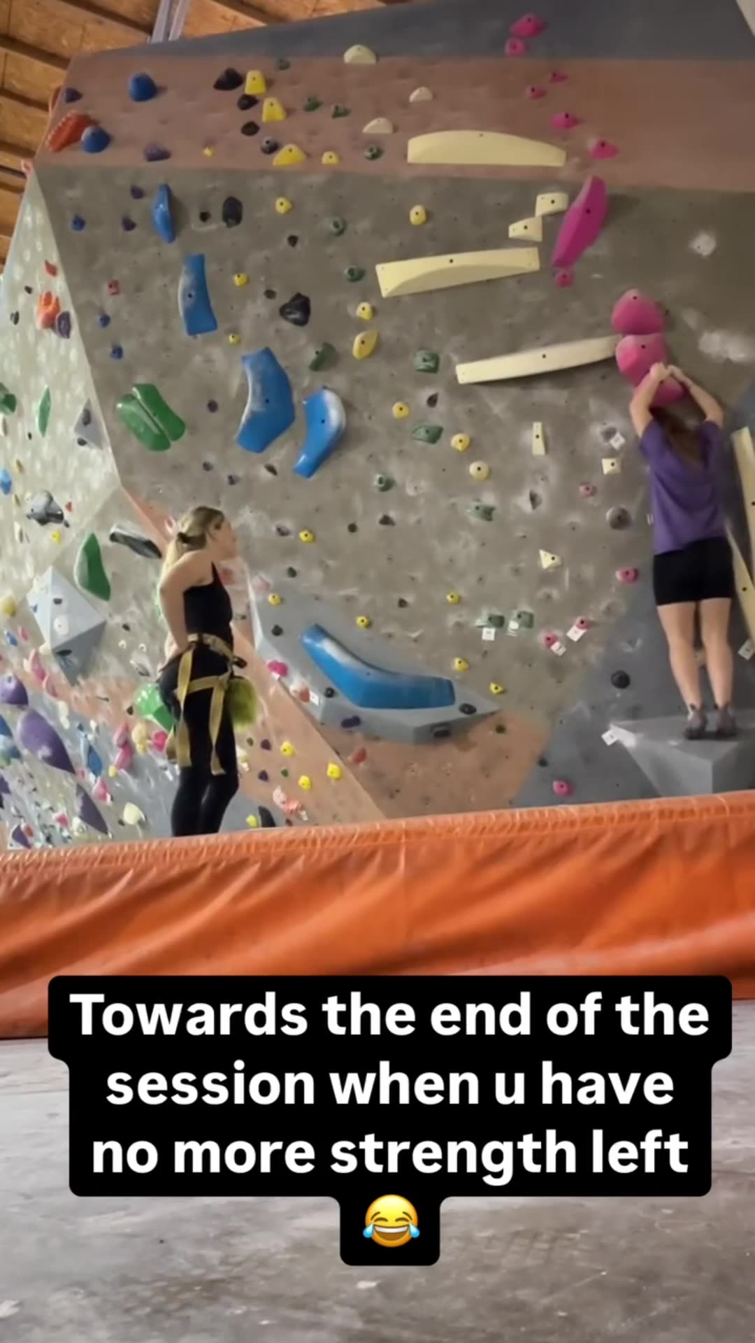 Mikaila 2024