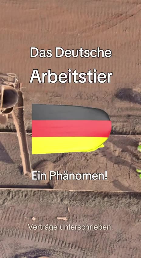 Ein Phänomen - Das Deutsche Arbeitstier!