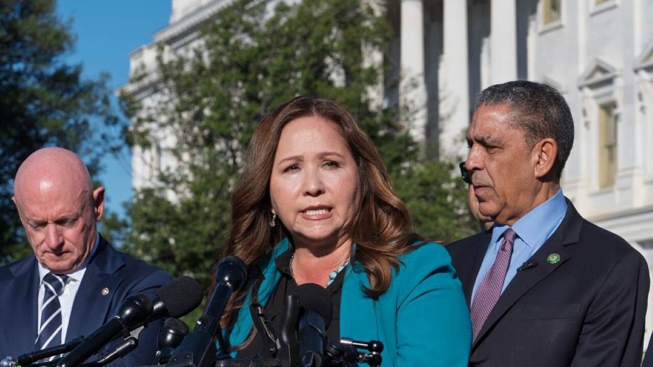 Deputy ICE Dir. Has A Damning Question For Voters After Another Democrat Interferes With Agents