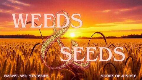 MARVEL & MYSTERIES: Weeds & Seeds