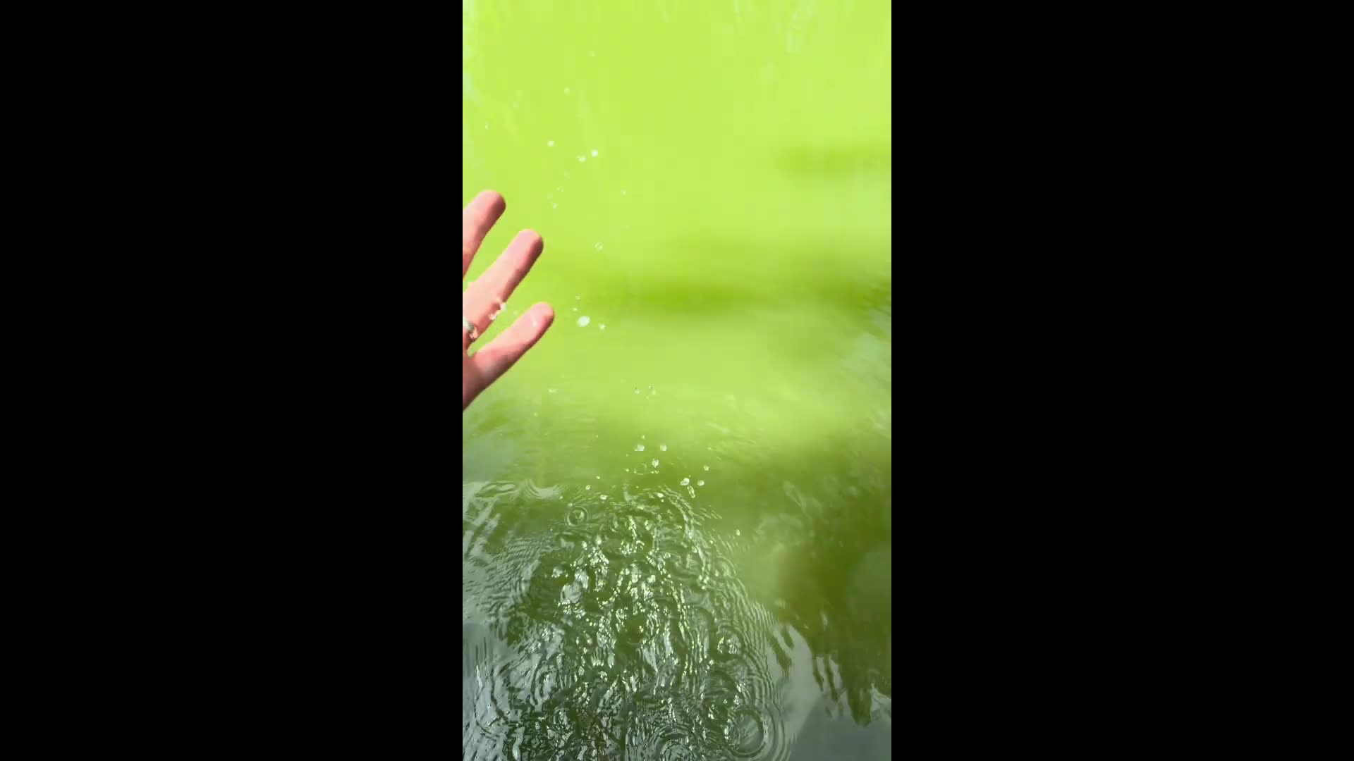 I-FISHED-SUFFOLK-WATER-PARK-HERES-WHAT