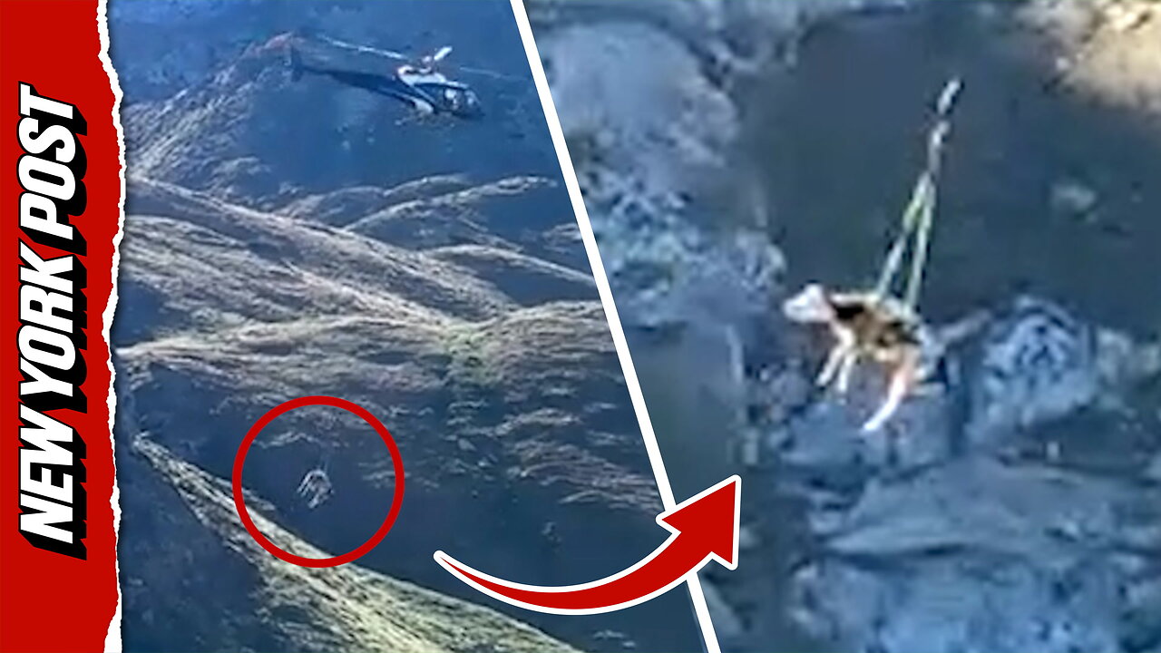 Holy cow! Helicopter airlifts stranded bovine to safety from French mountain thumbnail