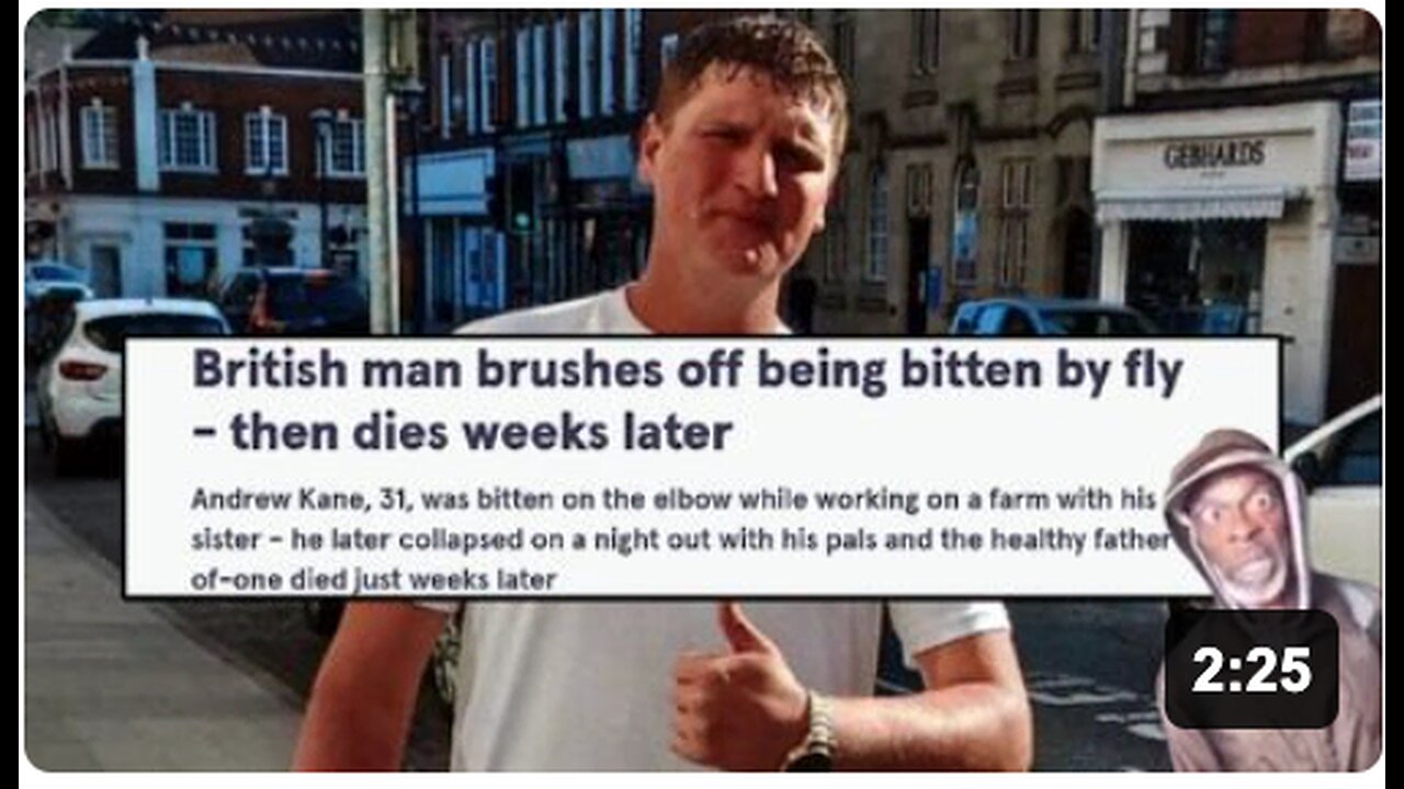 Ive seen it all! Andrew Kane - Killed by a fly??? 🤯