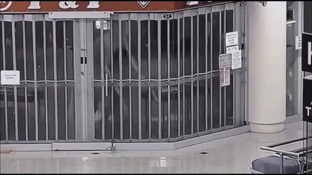 Homme-chien Black Walker en mouvement...cette vidéo a été prise à Smugglers Notch, dans le Vermont.