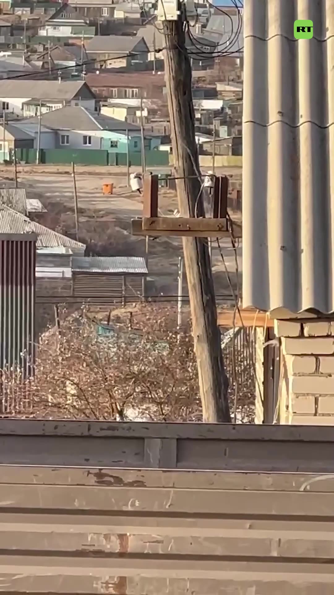 🙏🥺 Rescatan a un lince que no podía bajar de un poste