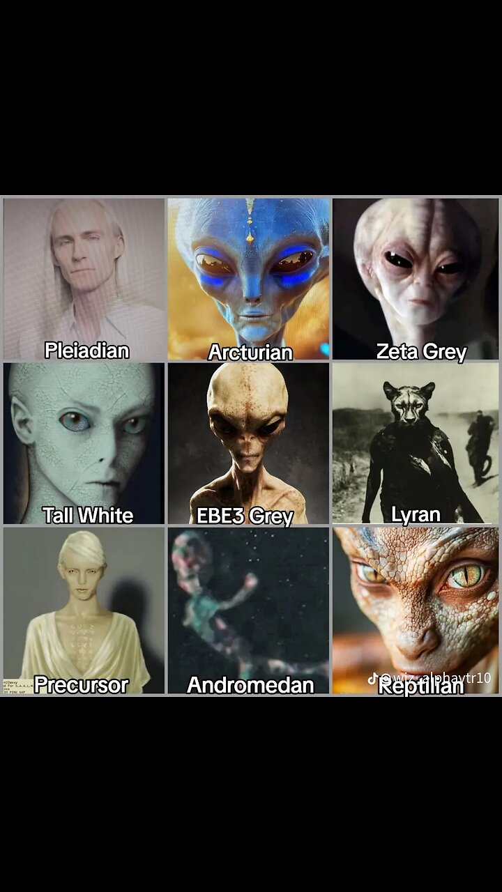 WHAT REAL ALIENS MIGHT LOOK LIKE…..