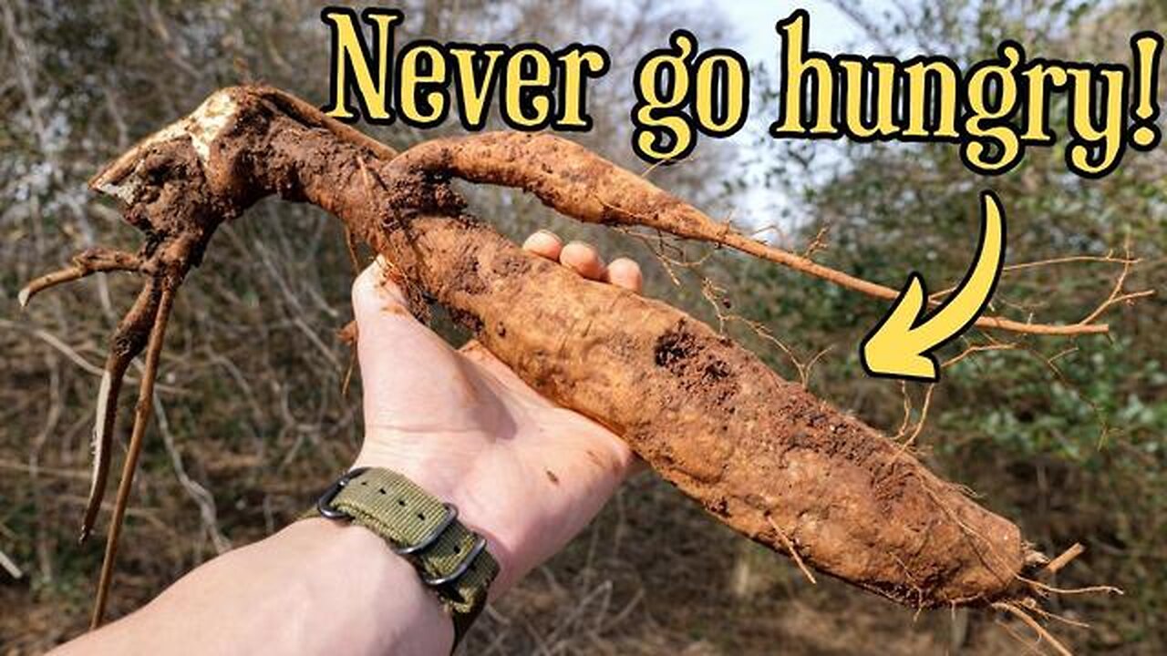 FORAGING: THE TRUTH ABOUT AMERICAS MOST INVASIVE PLANT [2025-02-19] - FERAL FORAGING
