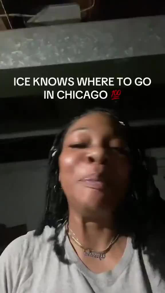 Democrats are now challenging ICE to come to the South Side of Chicago